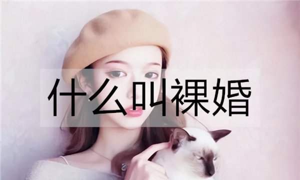 裸婚是什么意思