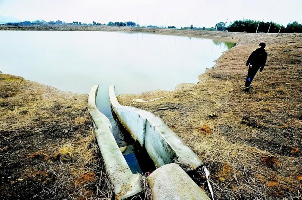 塘鲺鱼为什么不能吃