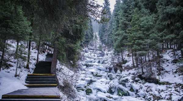 中国养肺最好地方在哪里