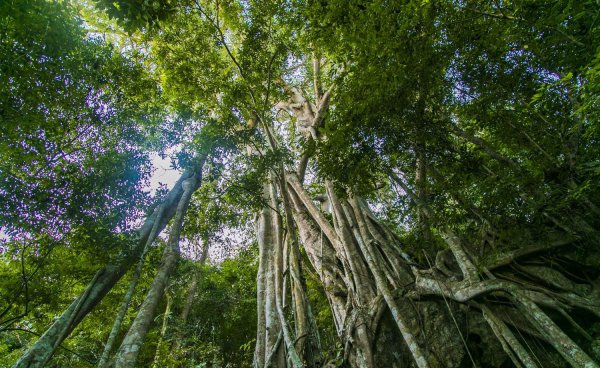 中国养肺最好地方在哪里