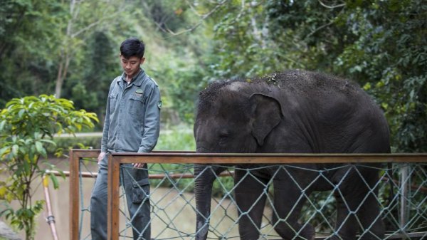 中国养肺最好地方在哪里