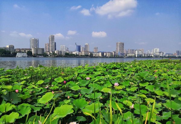 四川油田在哪个城市