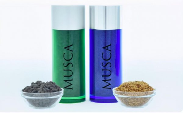 苍蝇如果灭绝会造成什么后果