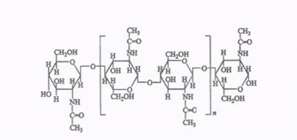 苍蝇如果灭绝会造成什么后果
