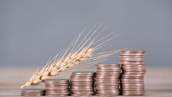 粮食价格上涨的原因和影响