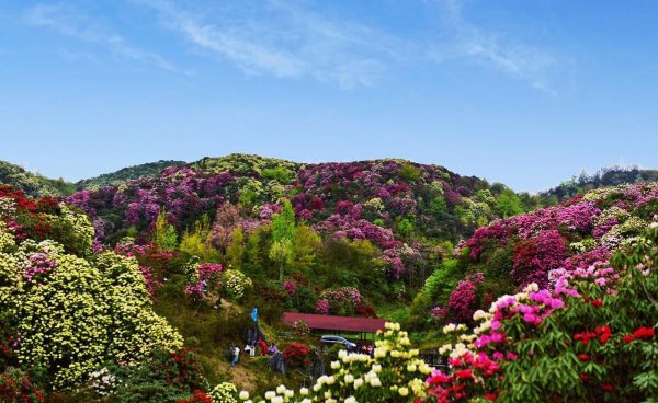 贵州好玩的地方有哪些