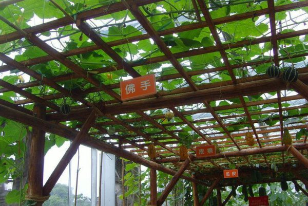 深圳最值得去的地方有哪些