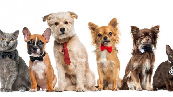 县城创业项目推荐