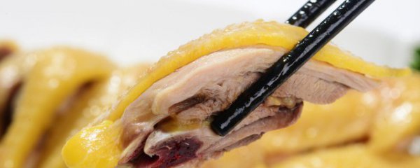 春天可以吃鸡吗