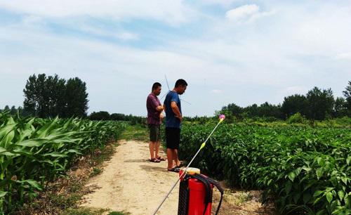 今年草甘膦最新价格走势