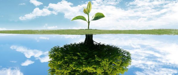 三千万存银行一年多少利息