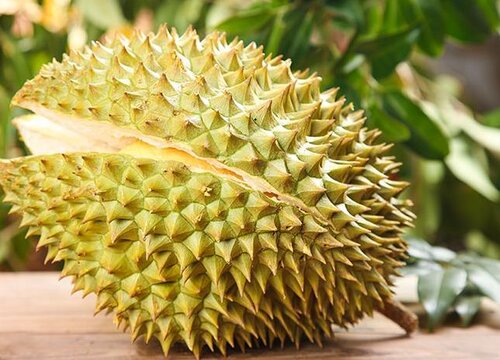 树熟榴莲和金枕榴莲有啥区别