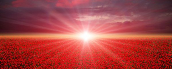 问候经典短句早安