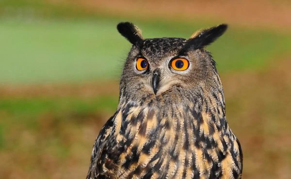 发泄情绪的正确方法