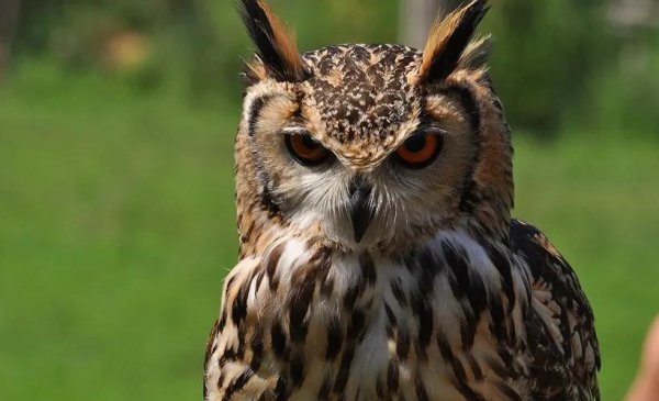 发泄情绪的正确方法