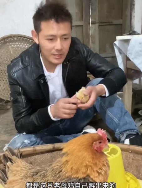 徐海为个人资料简介