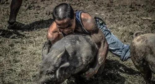 菲律宾国土面积多少平方公里