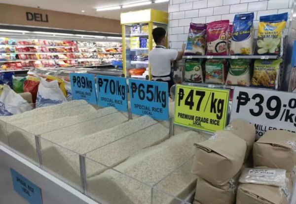 菲律宾国土面积多少平方公里