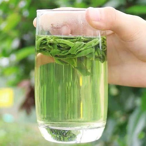 绿茶品种排名前十名