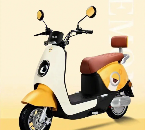 中国电动两轮车十大名牌