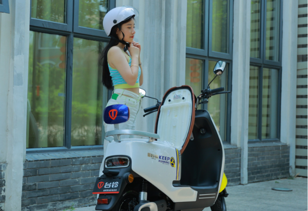 中国电动两轮车十大名牌