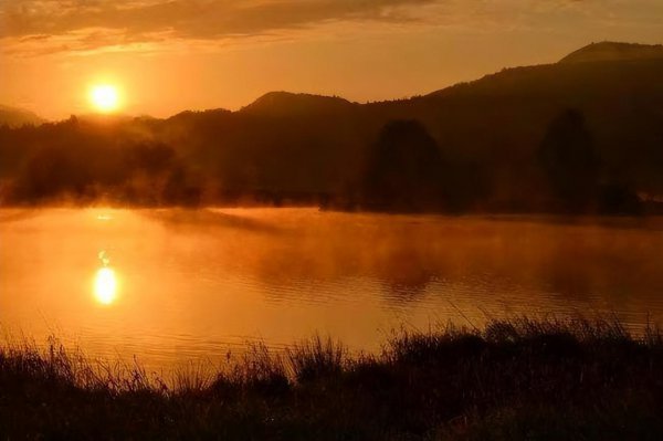 透明的红萝卜故事梗概