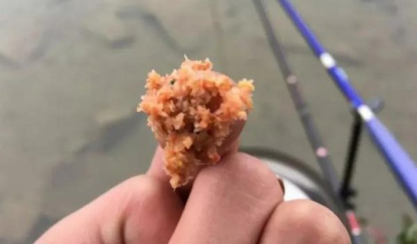 钓鱼用什么饵料鱼容易上钩