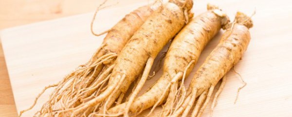 鲜人参能生吃吗