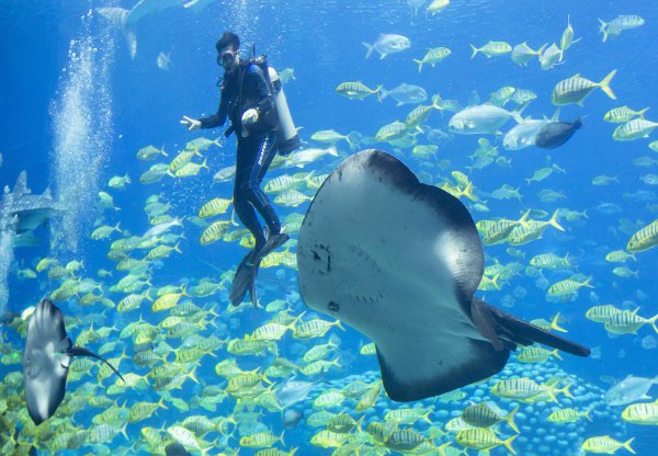 珠海有什么好玩的地方