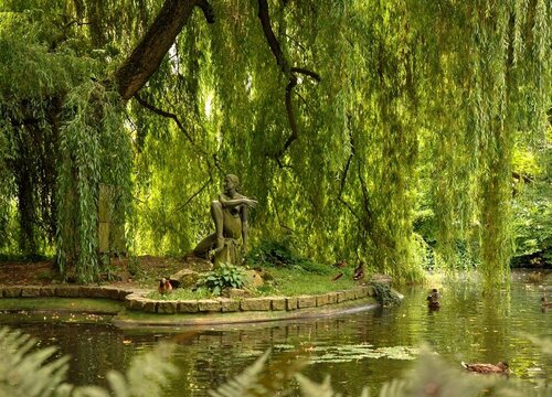 柳树是辟邪的还是招鬼的