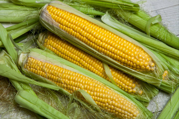 鲜玉米直接冷冻还是煮熟冷冻