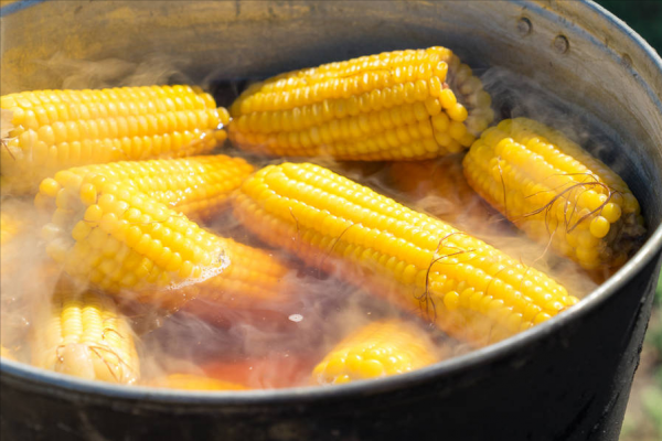 鲜玉米直接冷冻还是煮熟冷冻