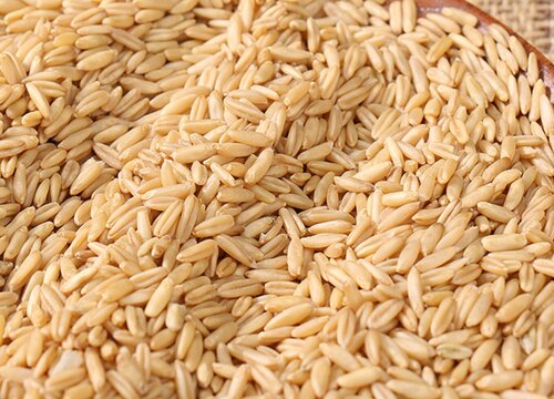 燕麦什么时候收割