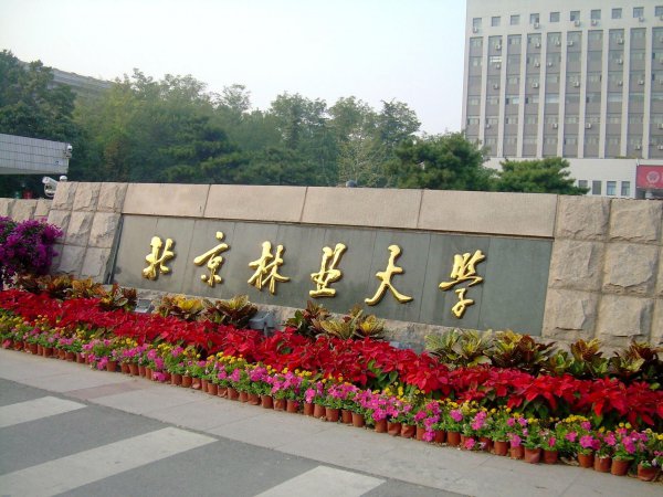 北京林业大学是211吗