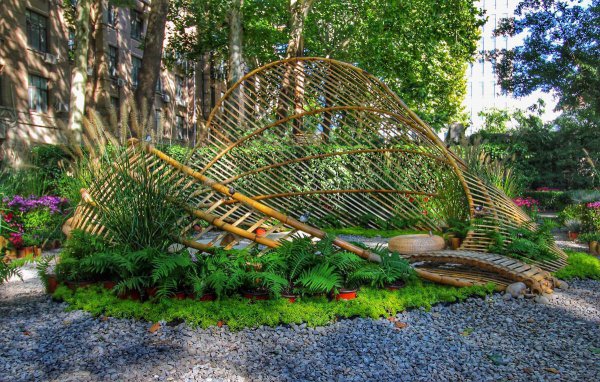 北京林业大学是211吗