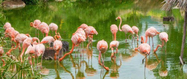 国内六月去哪里旅游最好又便宜