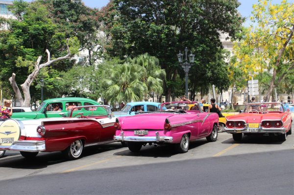 古巴人口总数量多少