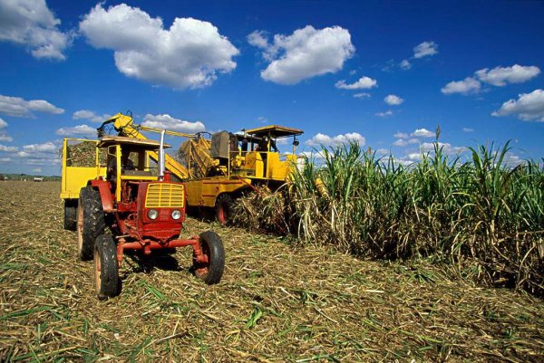 古巴人口总数量多少