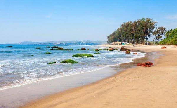 狮子座最怕什么星座