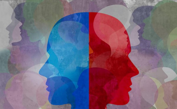 偏执型人格障碍主要表现