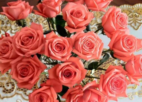 19朵玫瑰花的花语是什么意思