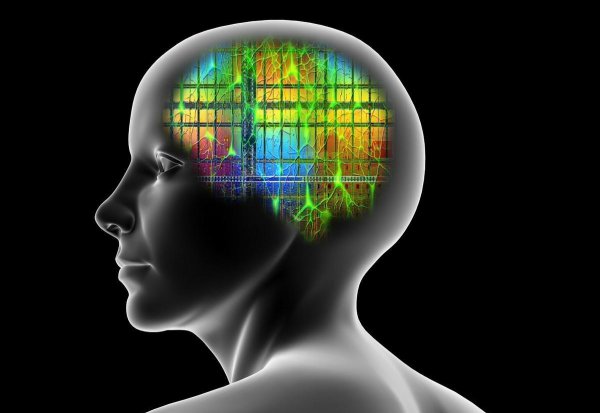 脑交是什么意思