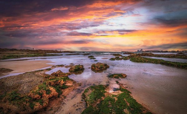 最能降服水瓶男的星座是什么