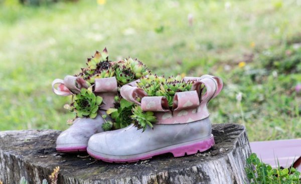 最能降服水瓶男的星座是什么