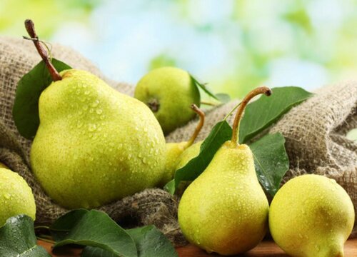 包头盛产什么水果