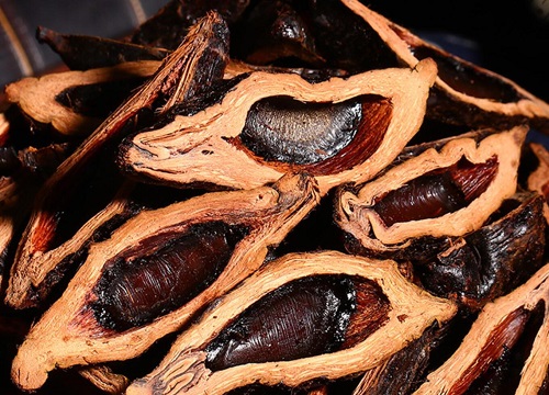 吃一个槟榔等于几根烟的危害