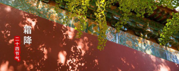 关于霜降的俗语