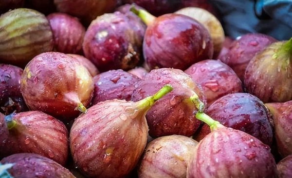 5种人不能吃无花果