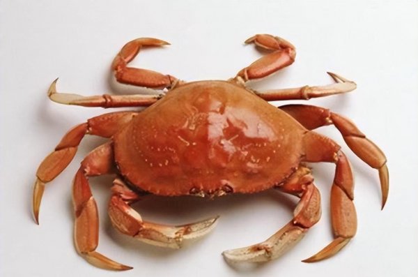 5种人不能吃无花果