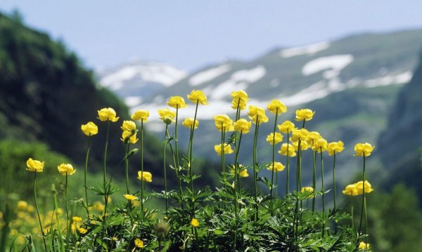 得之我幸失之我命的意思